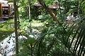090410IMG_sk_0758birdparadise (11)